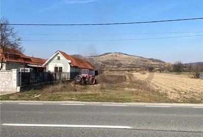 RECO Teren intravilan in Uileacul de Cris 3544mp - 1