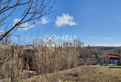 Teren de 6504 mp, în Curtișoara - 2