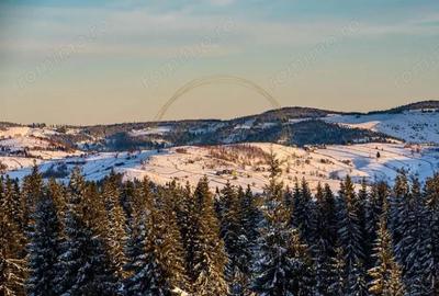 Teren de 1190 mp, în Mărișel - 13