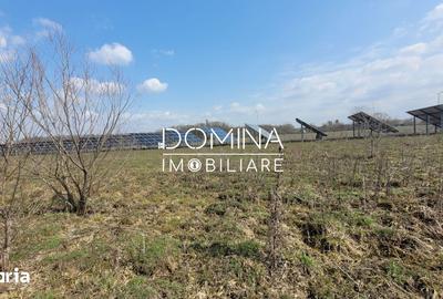 Teren de 978 mp, în Drăguțești - 4