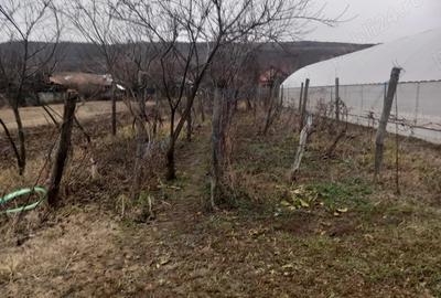 Vand casa + teren com. Prundeni - 2