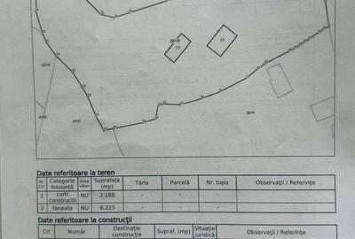 Casă cu Teren 4813 Mp în Lunca - 2