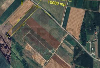 Teren de 10000 mp, în Nojorid - 3