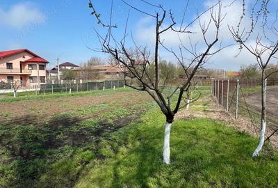 Casa -3 camere , Gruiu - Calarasi, teren 1476 mp - 20