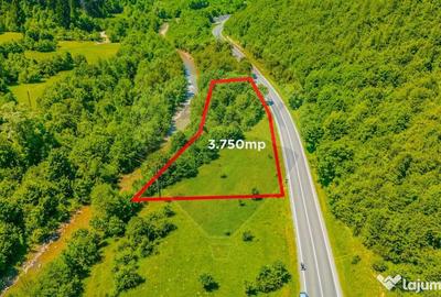Teren de 3750 mp, în Brădet - 1