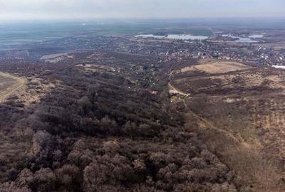 Teren in Ghioroc pe deal - 3