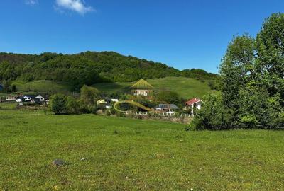 Teren agricol intravilan de 1439 mp, în Luncani - 5