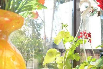 Apartament cu 3 camere decomandat în Central - 3