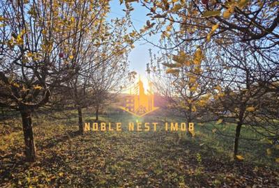 CASA P+E+M, 2340 mp teren - VALEA MARULUI - 9