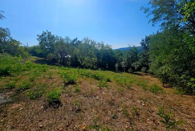 Teren intravilan 2322 mp, Păcuri – vedere superbă spre pădure! - 6