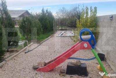 Casă cu 8 camere cu Teren 28000 Mp în Baba Ana - 18