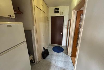 Apartament cu 2 camere semidecomandat, mobilat în Drumul Taberei - 10