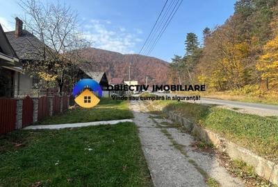 Vila-posibilitate pensiune Tarcau DN - 3