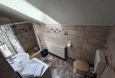 Sat vacanta - Garsoniera moderna in bloc nou + loc de parcare - 8