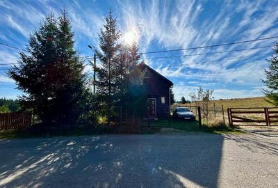 Vand cabana in Balcesti, Belis - 5