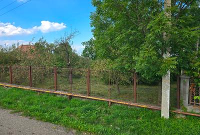 Gradina de vanzare - 7