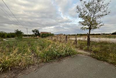 Teren de 3000 mp, în Checea - 10