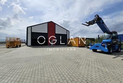 Cladire administrativa+hala+10.759 mp teren, Industrial Vest - 18