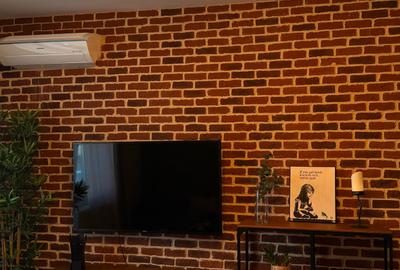 Apartament cu 2 camere decomandat, mobilat în Parcul Carol - 12