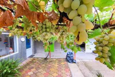 Casă cu 4 camere cu Teren 95 Mp în Central - 10