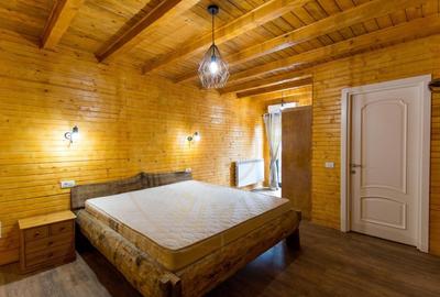 Casa de vacanta sau rezidentiala cu lac si ciubar Nucsoara-Arges Casa de vacanta sau rezidentiala cu lac si ciubar Nucsoara-Arges - 14