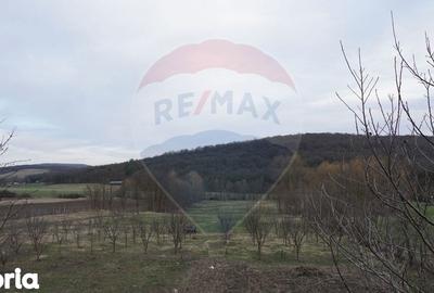 Teren de 517 mp, în Mărgineni - 3