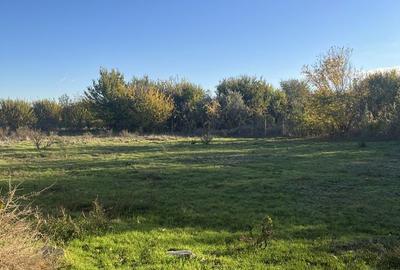 Casă cu 2 camere în Peceneaga - 1