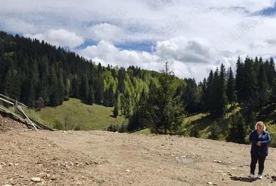 Teren de 1000 mp, în Băișoara