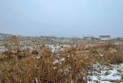 Teren de 760 mp, în Central - 11