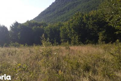 Teren de 700 mp, în Dobra - 3