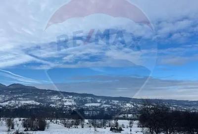 Teren de 10054 mp, în Mănăstirea - 4