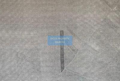 Teren de 5000 mp, în Vedea