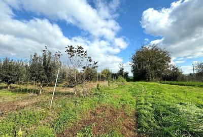 Livada+gradina, teren intravilan 2902mp, Damienesti-Bacau, comision 0 - 7