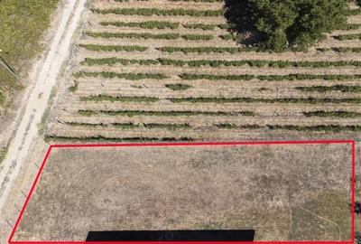 Teren de 500 mp, în Cârcea - 2