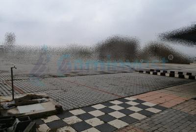 Spațiu industrial, în Sălard - 2