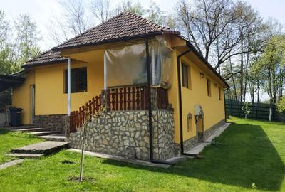 Casă cu 3 camere în Hărțăgani - 6