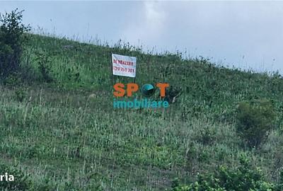 Spațiu comercial, în Vișea - 1