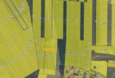 Teren agricol Stelnica, 4,5 HA, Unic propietar - 3