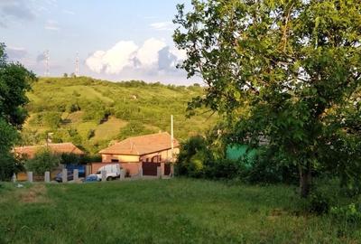 Spațiu comercial, în Bucovăț - 1