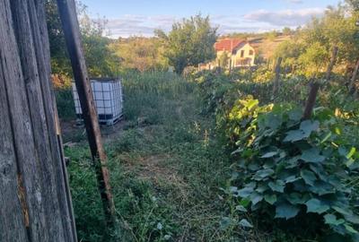 Teren intravilan , 1100mp , front 12,60 m , intrare Filiasi - 7