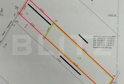 Teren intravilan 4230 mp, Dumbrava - 1