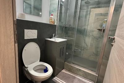 Apartament cu 3 camere semidecomandat, mobilat în Podu Roș - 11