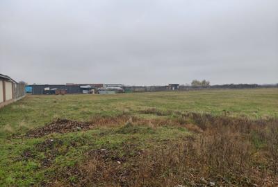 Teren 4588 mp, Remetea Mare Comision 0% - 2