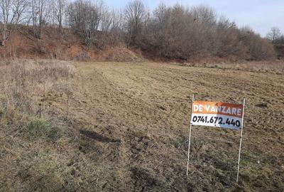 Teren de 5000 mp, în Crăcăoani - 5