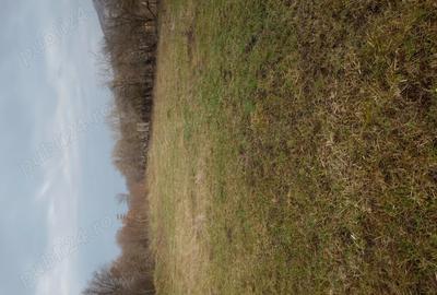 Casă în Păulian - 2