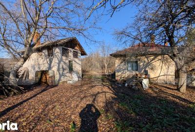 Casă cu 2 camere cu Teren 2000 Mp în Crângurile - 5