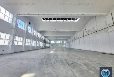 Spatiu industrial de inchiriat in Campina, zona Exterior Vest, 1700 mp #16491 - 2