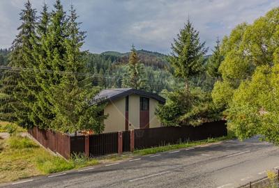 Casa de vacanta sau investitie turistica in Gresu - langa Lepsa - 19