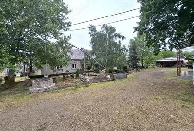 Crama de vanzare Odobesti -Vartescoiu - 4