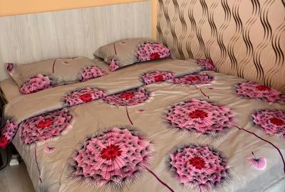 Apartament 1 camera de inchiriat - Tudor - 7